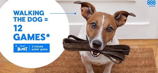 888Poker Fast Blast dog